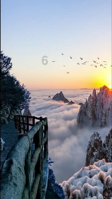 孩子经常生病，好像免疫力不太好，吃哪些营养品好呢？游戏画面